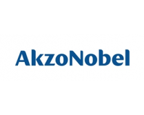 Logo AkzoNobel (213601)